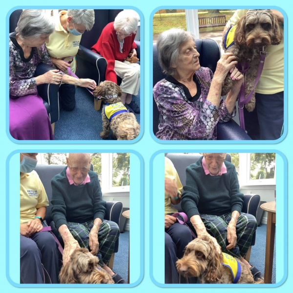 Cocoa brings her unique brand of therapy to Beanlands Nursing Home 