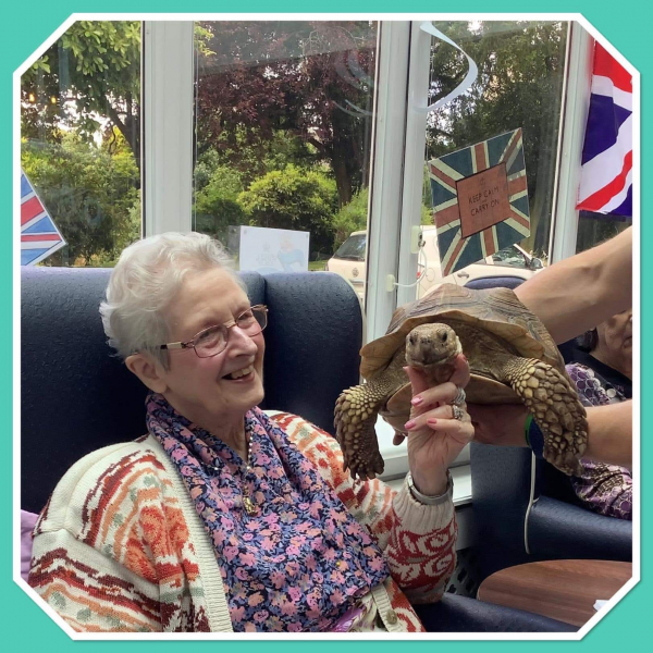 Exotic visitors welcomed to Beanlands nursing home in Cross Hills