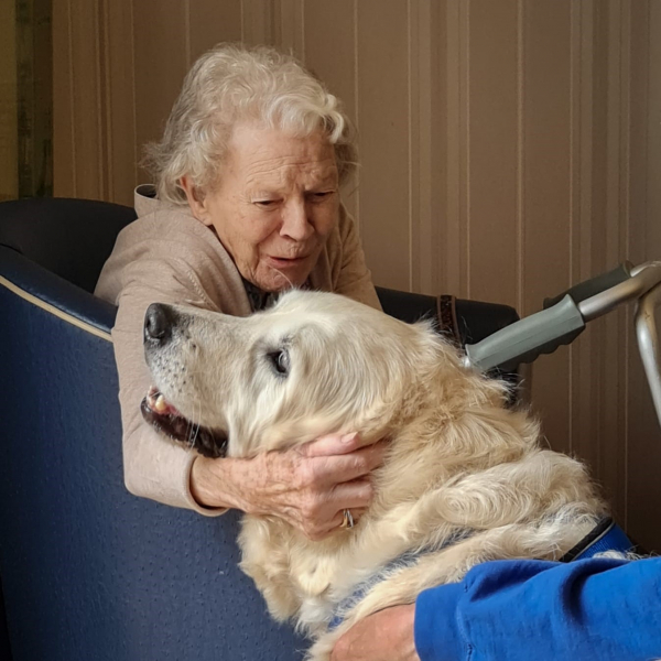 The positive power of a pet is clear at our homes