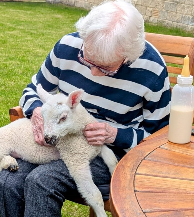 Easter celebrations across Czajka Care Group Homes