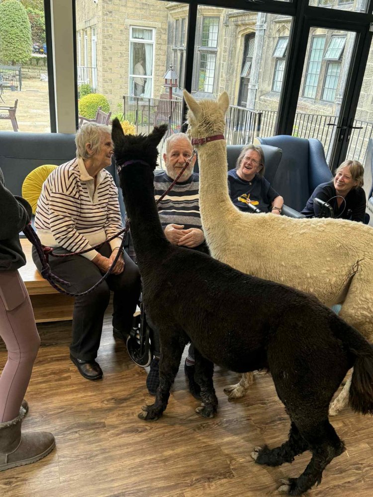 Special visitors bring smiles to Currergate Nursing Home in Steeton 