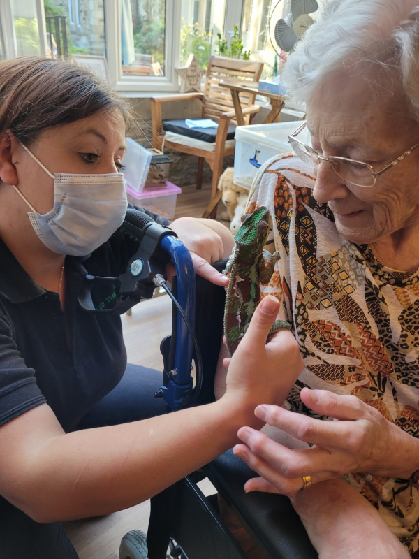 Brookfield care home goes wild for new guests! 