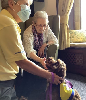 All visitors are welcome at Czajka Care Group - especially our four legged friend Coco! 