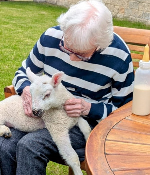 Easter celebrations across Czajka Care Group Homes