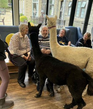Special visitors bring smiles to Currergate Nursing Home in Steeton 