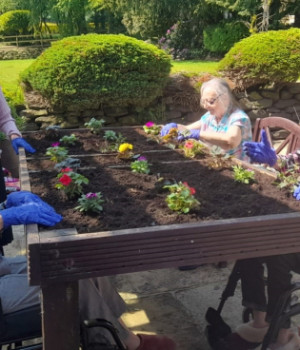 Green fingers galore at Currergate nursing home 
