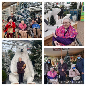 Garden centre visit gets everyone in the Christmas spirit 