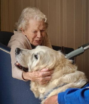 The positive power of a pet is clear at our homes 