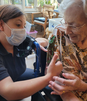 Brookfield care home goes wild for new guests! 
